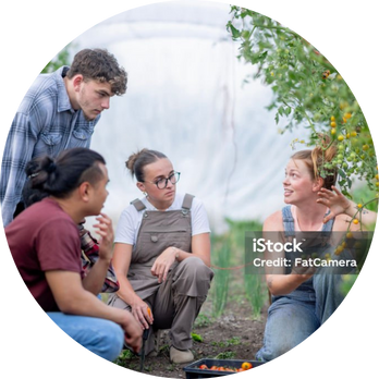 1 Vier junge Erwachsene auf dem Feld